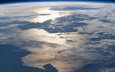 Global Webinar Update