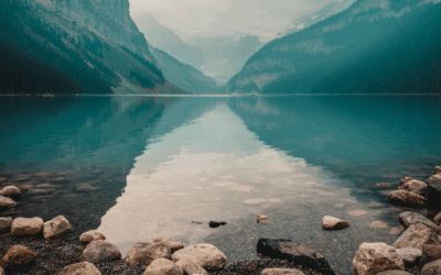 Persevering in Failure and Challenges